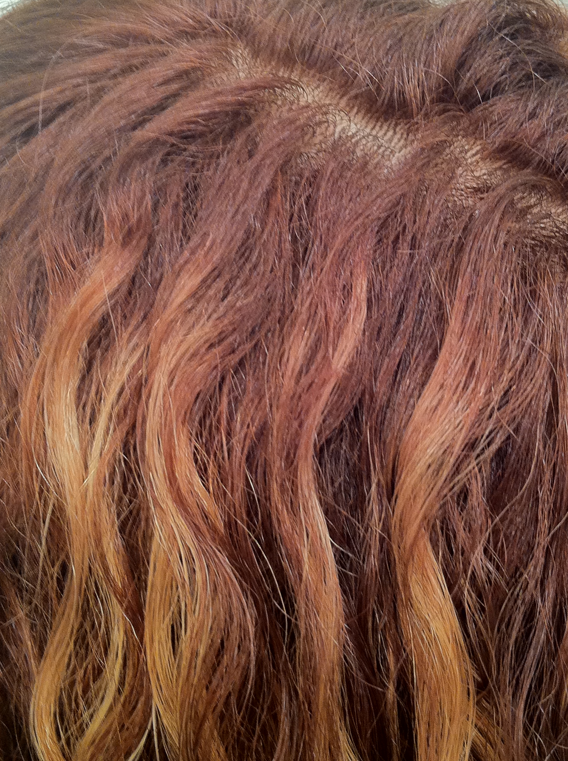 light golden brown hair tumblr